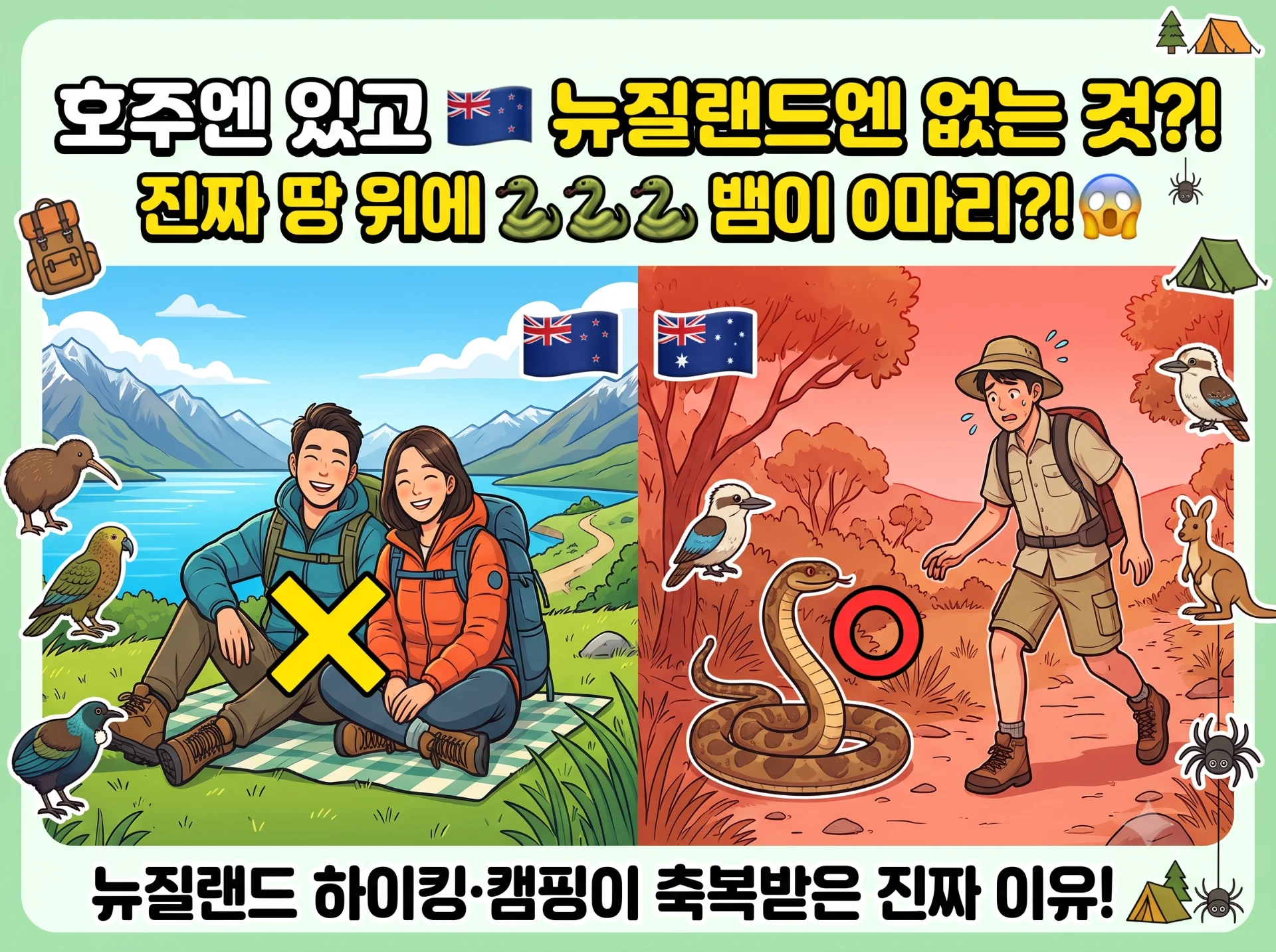 뉴질랜드에는 '이것'이 절대 없습니다 (feat. 캠핑·하이킹 천국인 이유)